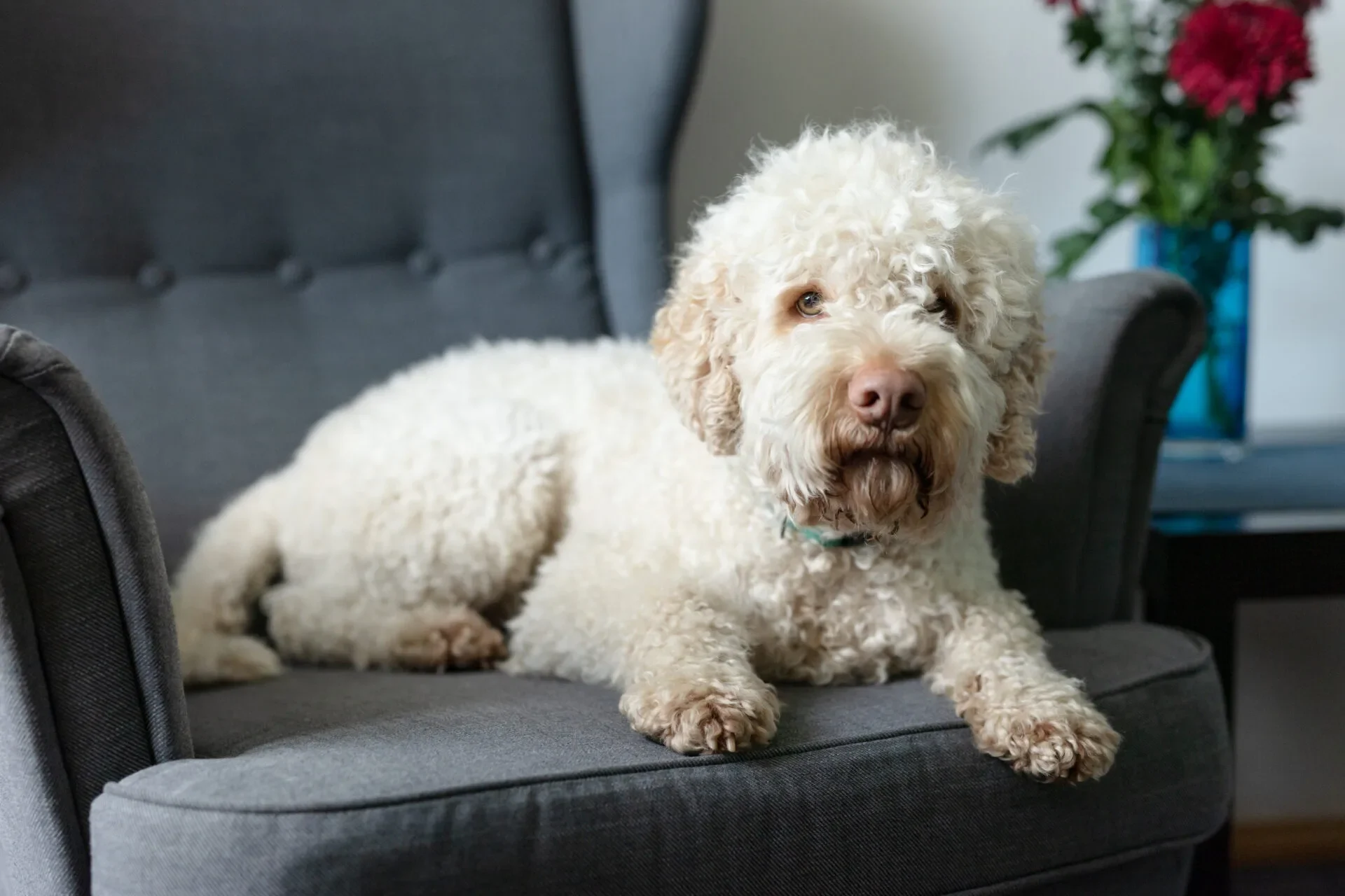 Jiří Voskovec: Dopis z New Yorku o hlavoléčbě